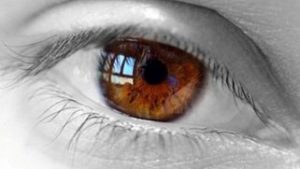 VISIONKER Clínica oftalmológica - EYE CLINIC de TORREVIEJA. Somos un equipo multidisciplinar de oftalmólogos que hemos montado una clínica en Torrevieja, única en esta zona, para dar un servicio de oftalmología en todas sus especialidades. Disponemos de especialistas de varios áreas de la oftalmología como glaucoma, cataratas, degeneración macular, retinopatía diabética, desprendimiento de retina, córnea y superficie ocular y oculoplástica. También tenemos servicio de medicina estética y facial y consulta de optometría.